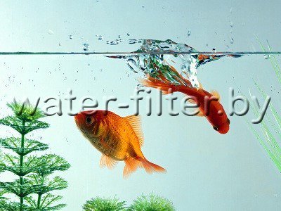мягкая воды полезна для здоровья и не только мягкая воды полезна для здоровья и не только