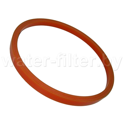Уплотнительное кольцо к фильтру Гейзер 1Г